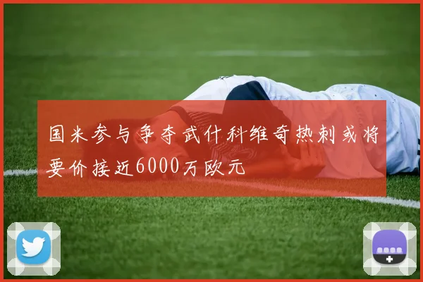 国米参与争夺武什科维奇热刺或将要价接近6000万欧元