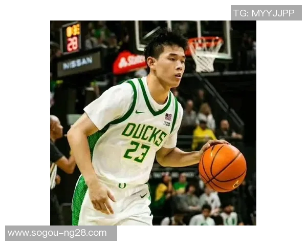 俄勒冈大学大二后卫林葳解禁复出新竞争对手即将登场